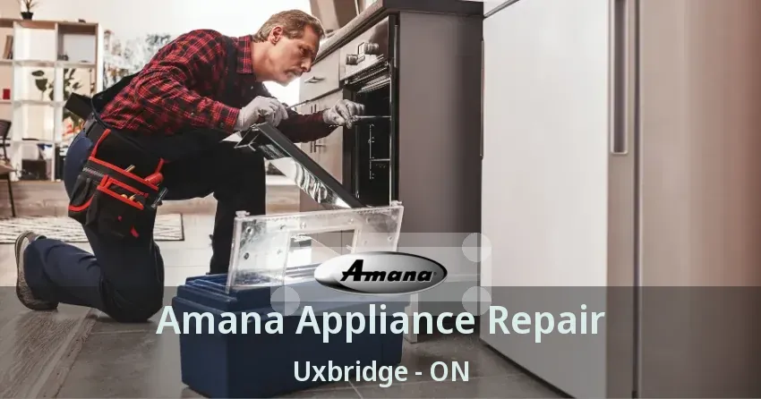 Amana Appliance Repair Uxbridge - ON