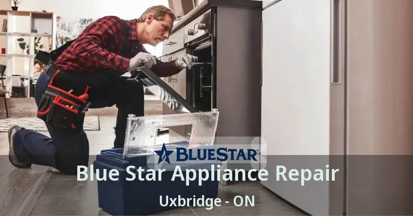 Blue Star Appliance Repair Uxbridge - ON