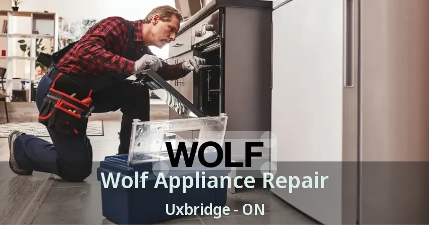 Wolf Appliance Repair Uxbridge - ON