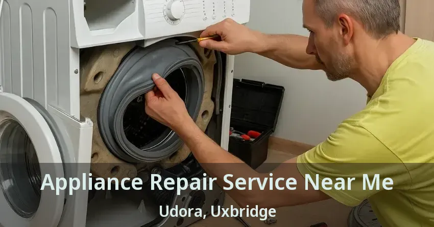 Appliance Repair Service Near Me Udora, Uxbridge - ON