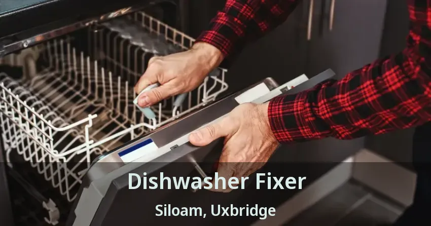 Dishwasher Fixer Siloam, Uxbridge - ON