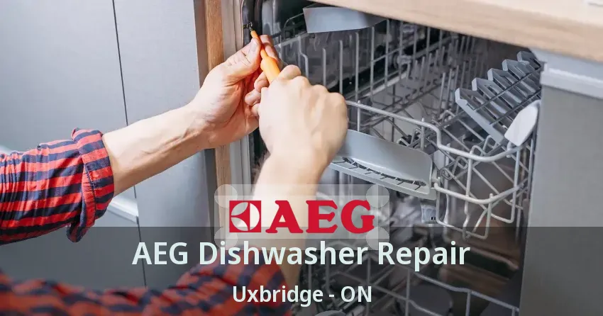 AEG Dishwasher Repair Uxbridge - ON