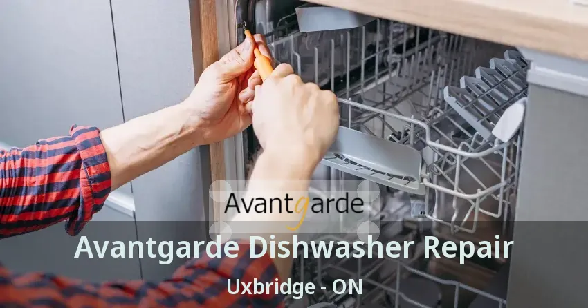 Avantgarde Dishwasher Repair Uxbridge - ON