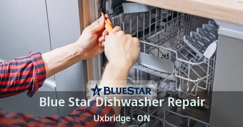 Blue Star Dishwasher Repair Uxbridge - ON