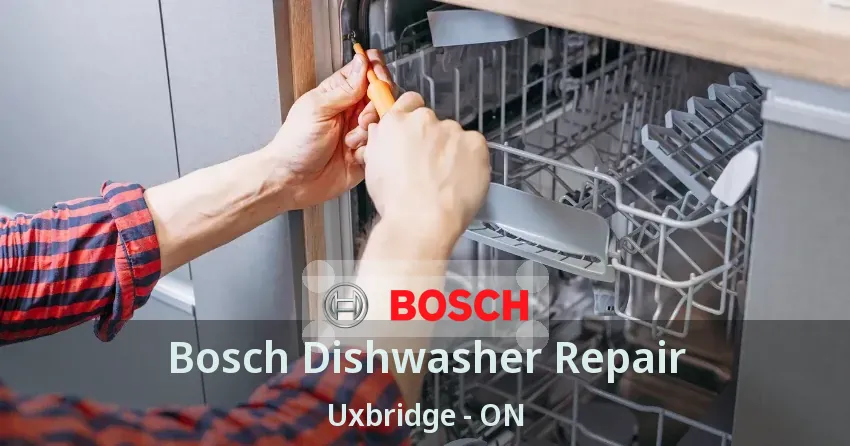 Bosch Dishwasher Repair Uxbridge - ON