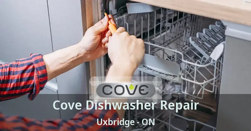 Cove Dishwasher Repair Uxbridge - ON