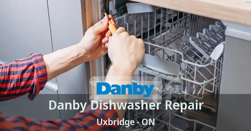 Danby Dishwasher Repair Uxbridge - ON