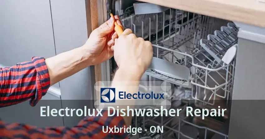 Electrolux Dishwasher Repair Uxbridge - ON