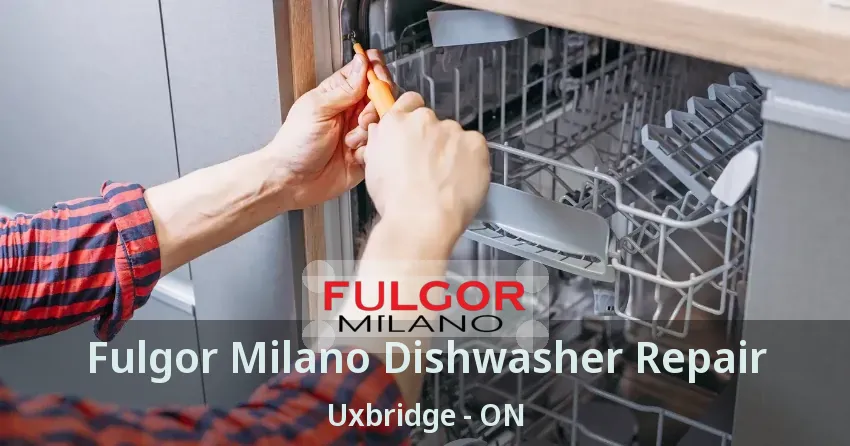 Fulgor Milano Dishwasher Repair Uxbridge - ON