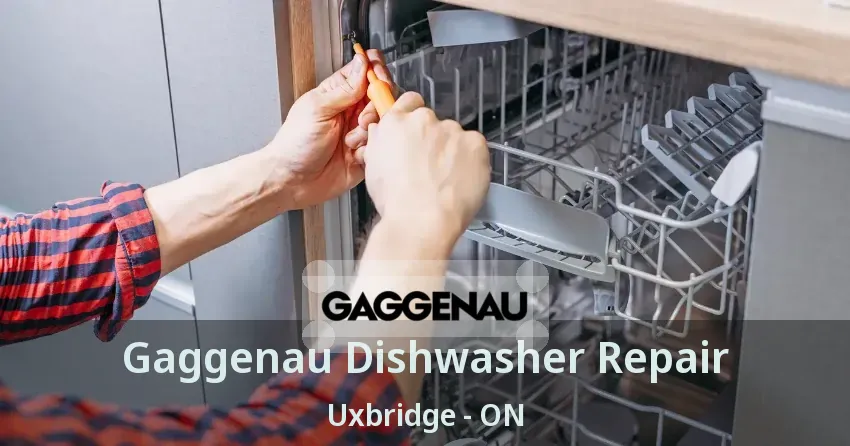 Gaggenau Dishwasher Repair Uxbridge - ON