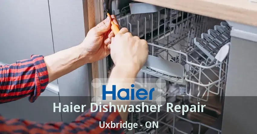 Haier Dishwasher Repair Uxbridge - ON