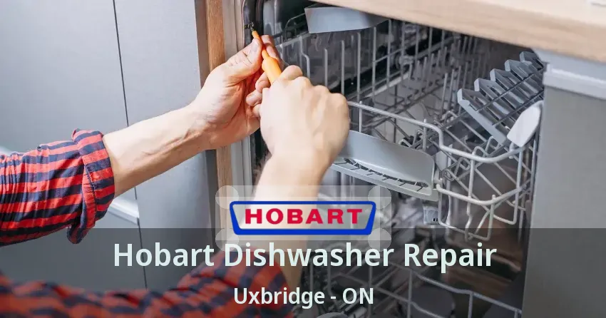 Hobart Dishwasher Repair Uxbridge - ON