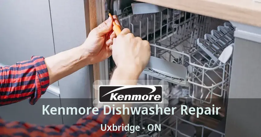 Kenmore Dishwasher Repair Uxbridge - ON