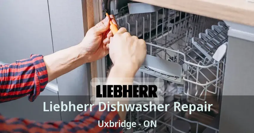 Liebherr Dishwasher Repair Uxbridge - ON