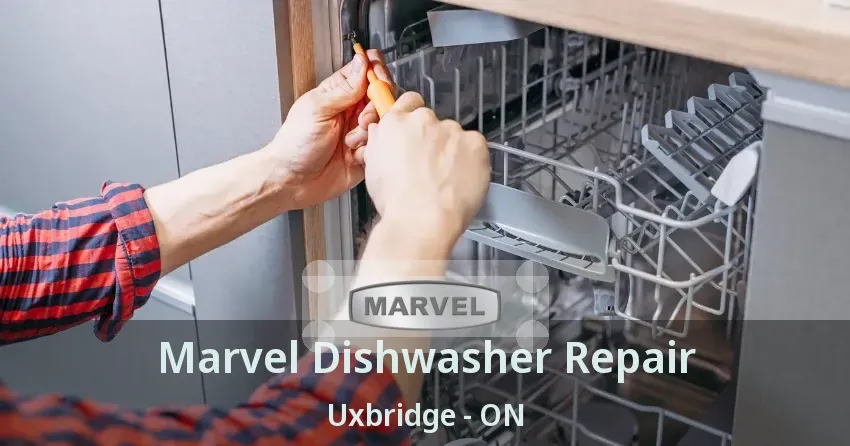 Marvel Dishwasher Repair Uxbridge - ON