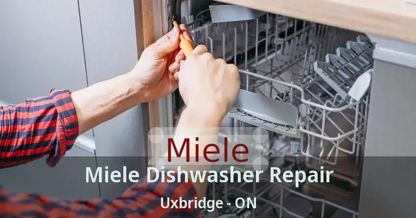 Miele Dishwasher Repair Uxbridge - ON