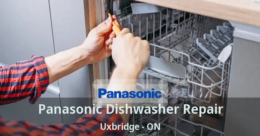 Panasonic Dishwasher Repair Uxbridge - ON