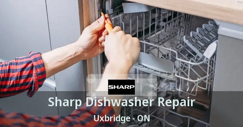 Sharp Dishwasher Repair Uxbridge - ON