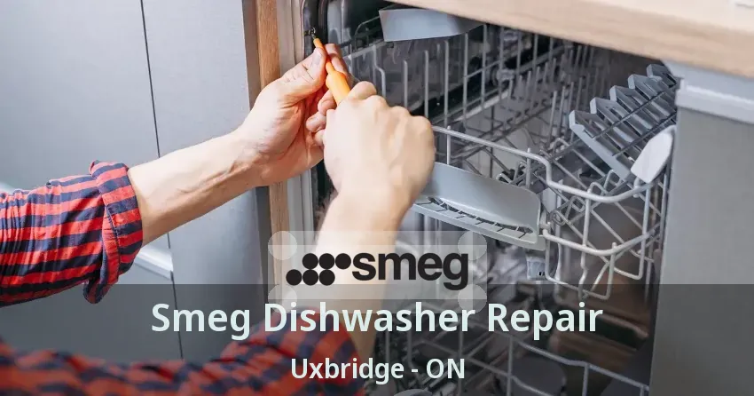 Smeg Dishwasher Repair Uxbridge - ON