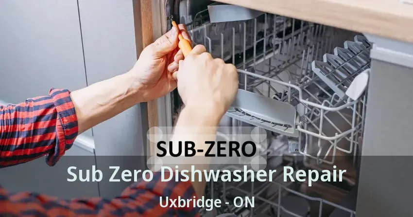 Sub Zero Dishwasher Repair Uxbridge - ON