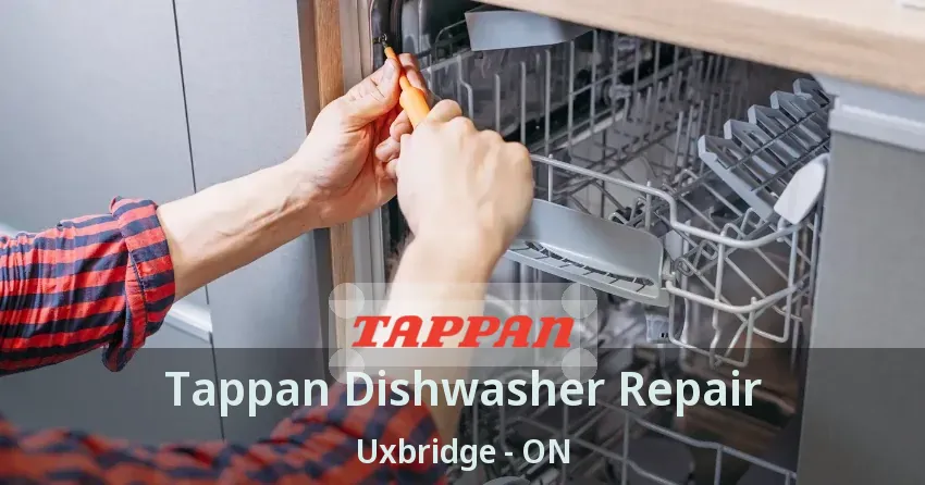Tappan Dishwasher Repair Uxbridge - ON
