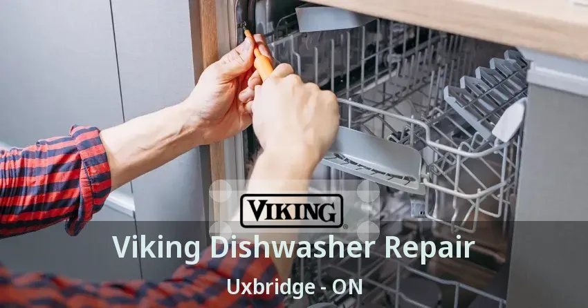 Viking Dishwasher Repair Uxbridge - ON