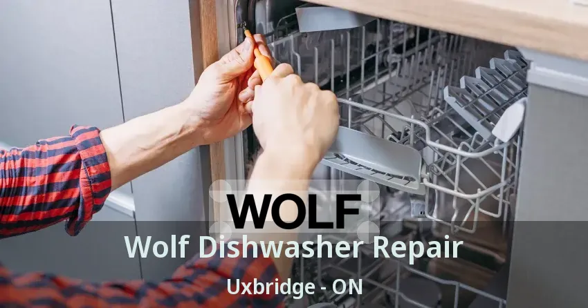 Wolf Dishwasher Repair Uxbridge - ON