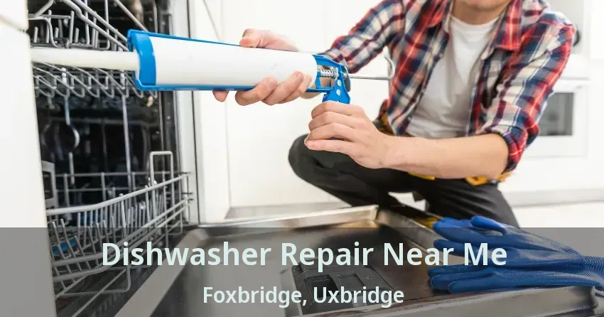 Dishwasher Repair Near Me Foxbridge, Uxbridge - ON