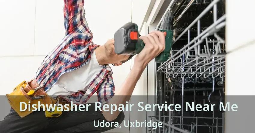 Dishwasher Repair Service Near Me Udora, Uxbridge - ON
