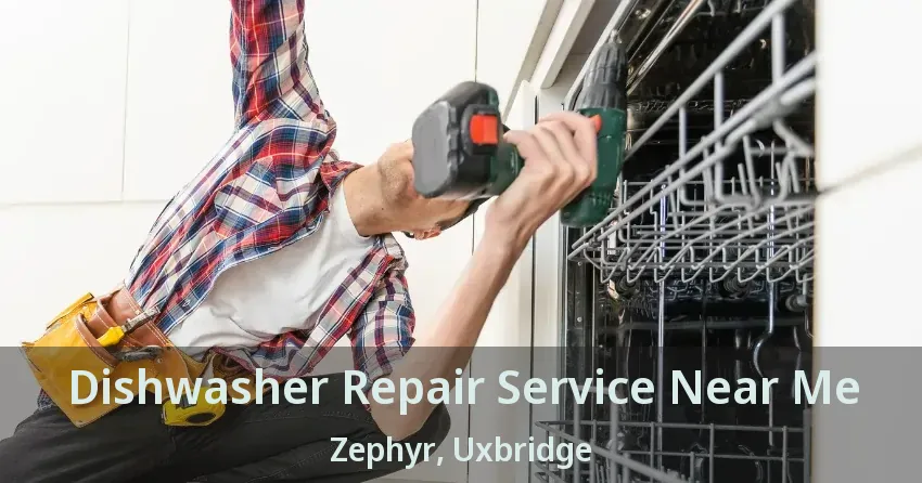 Dishwasher Repair Service Near Me Zephyr, Uxbridge - ON
