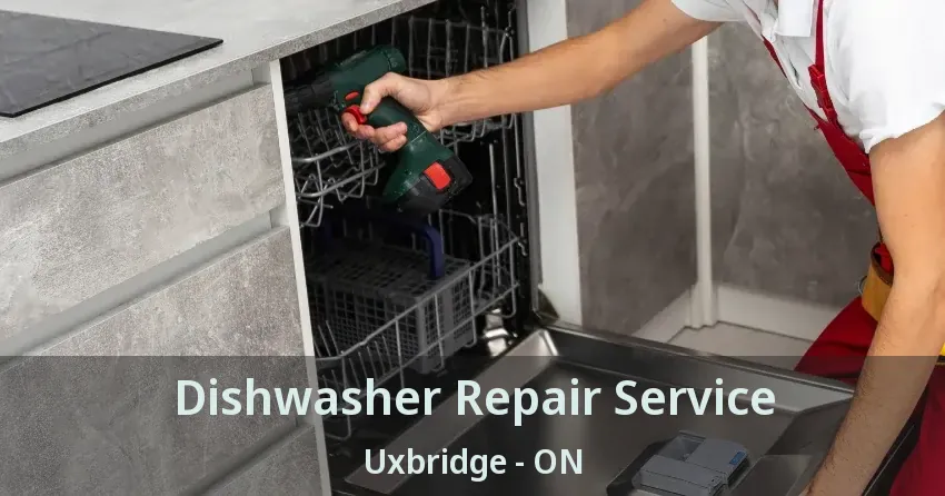 Dishwasher Repair Service Uxbridge - ON
