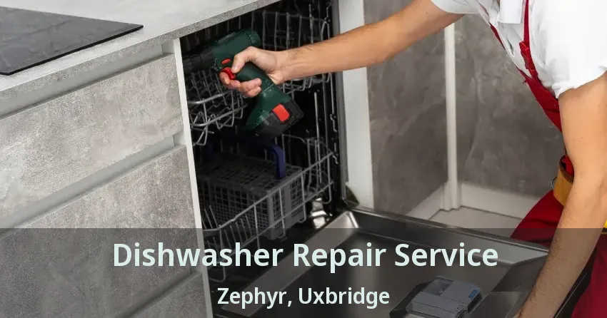 Dishwasher Repair Service Zephyr, Uxbridge - ON