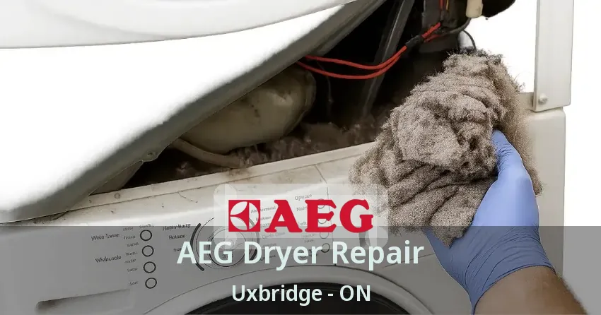 AEG Dryer Repair Uxbridge - ON