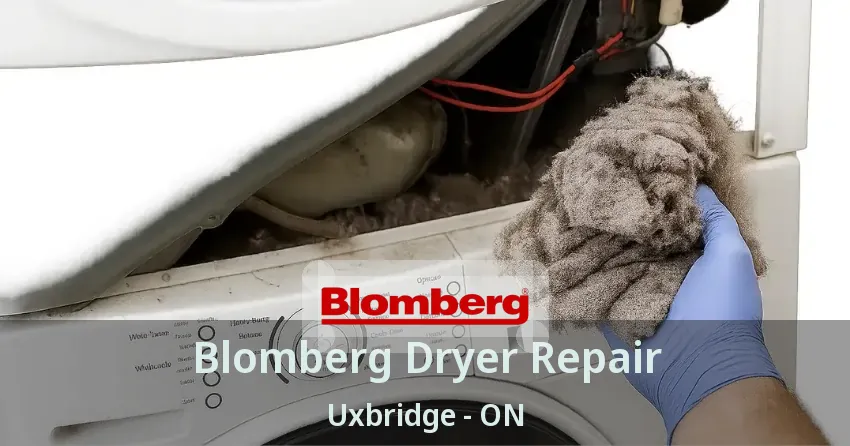 Blomberg Dryer Repair Uxbridge - ON