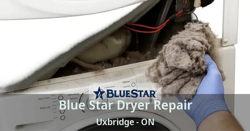 Blue Star Dryer Repair Uxbridge - ON