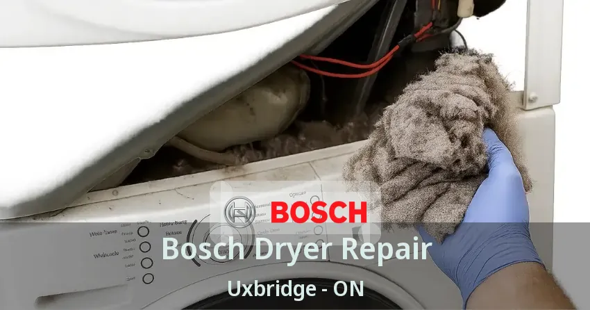 Bosch Dryer Repair Uxbridge - ON