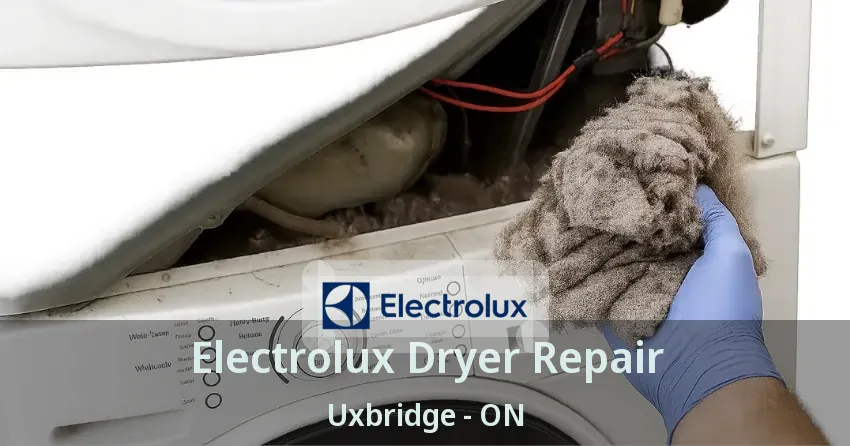 Electrolux Dryer Repair Uxbridge - ON