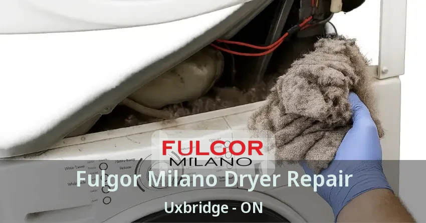 Fulgor Milano Dryer Repair Uxbridge - ON