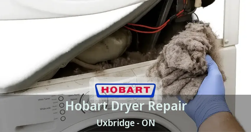 Hobart Dryer Repair Uxbridge - ON