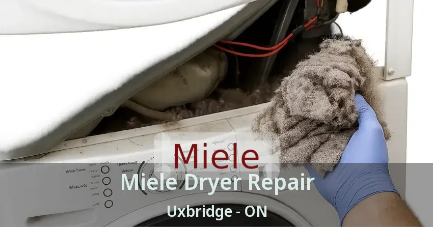 Miele Dryer Repair Uxbridge - ON