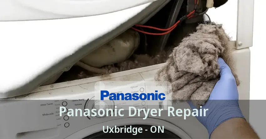 Panasonic Dryer Repair Uxbridge - ON