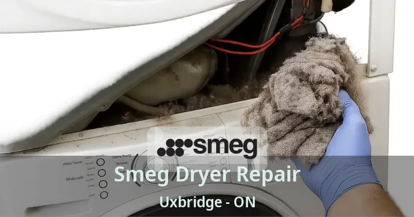 Smeg Dryer Repair Uxbridge - ON