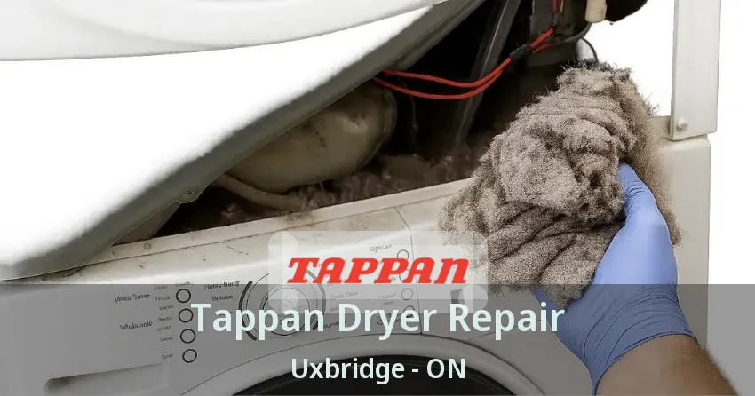 Tappan Dryer Repair Uxbridge - ON