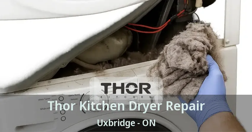 Thor Kitchen Dryer Repair Uxbridge - ON