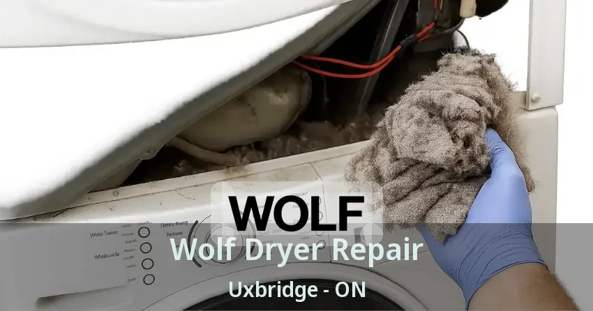 Wolf Dryer Repair Uxbridge - ON