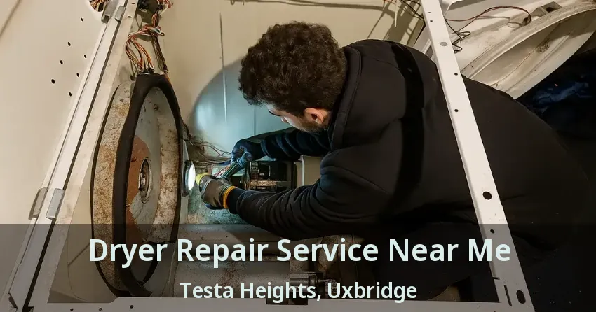 Dryer Repair Service Near Me Testa Heights, Uxbridge - ON
