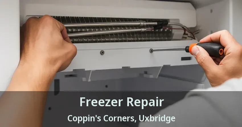 Freezer Repair Coppin's Corners, Uxbridge - ON