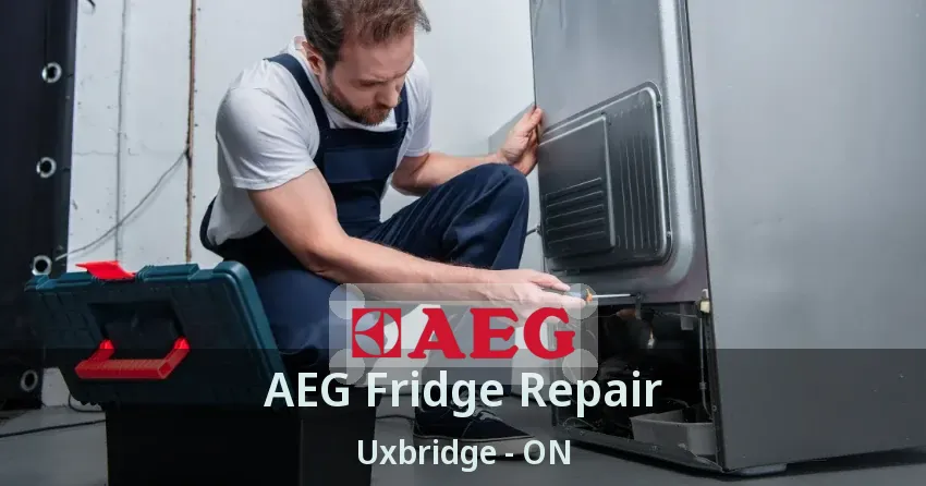 AEG Fridge Repair Uxbridge - ON