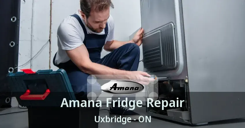 Amana Fridge Repair Uxbridge - ON