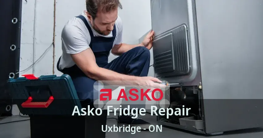 Asko Fridge Repair Uxbridge - ON